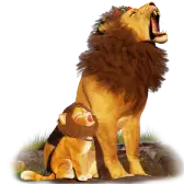 Gift Image