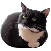 Gift Image