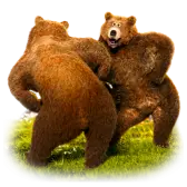 Gift Image