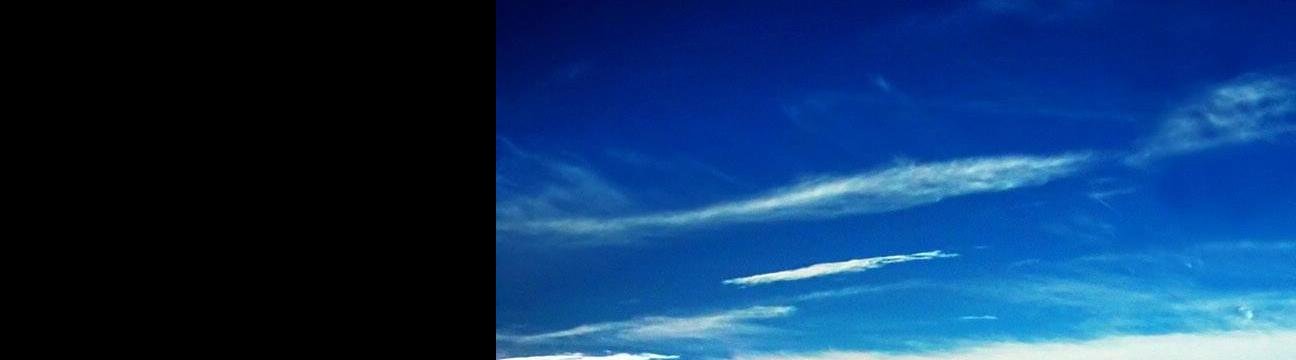 Braunis_22